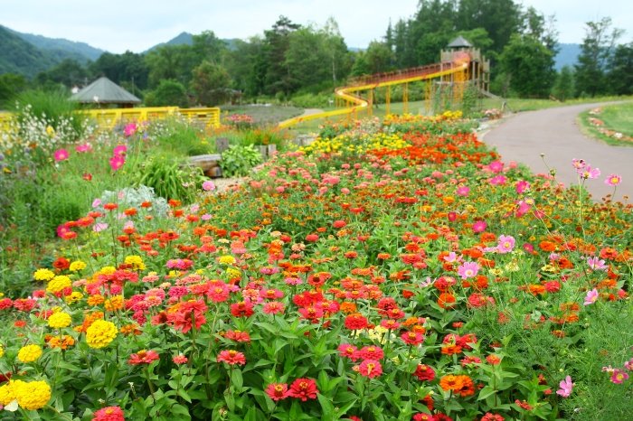 🛣️ 길의 역 비라후(미치노에키 비라후) 이미지 6